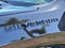 2026 Chevrolet Silverado 1500 Crew Cab Short Box 2-Wheel Drive Custom