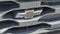 2026 Chevrolet Silverado 1500 Crew Cab Short Box 2-Wheel Drive Custom