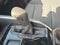 2026 Chevrolet Colorado Crew Cab Short Box 2-Wheel Drive Work Truck