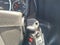 2026 Chevrolet Express Cargo 2500 Regular Wheelbase Rear-Wheel Drive
