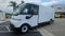 2025 Chevrolet BrightDrop 600 eFWD 600