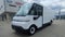 2025 Chevrolet BrightDrop 600 eFWD 600