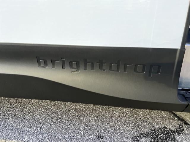 2025 Chevrolet BrightDrop 600 eAWD 600