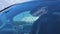 2026 Chevrolet Silverado 1500 Crew Cab Short Box 4-Wheel Drive LT 1LT