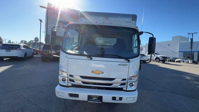 2024 Chevrolet Low Cab Forward 4500 2WD Reg Cab 132.5"