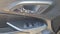 2026 Chevrolet Trax FWD 4dr 1RS