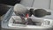 2026 Chevrolet Trax FWD 4dr 1RS