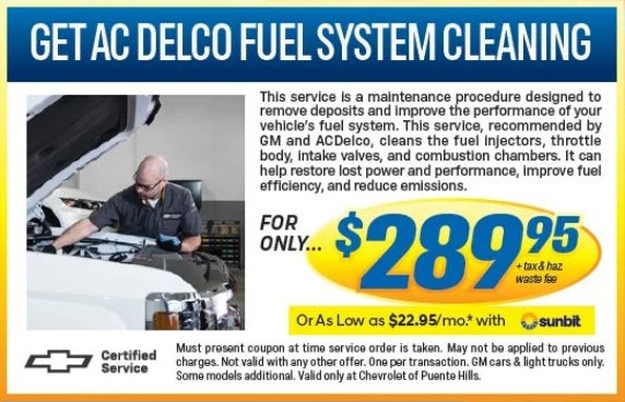 AC DELCO Fuel System Cleaning