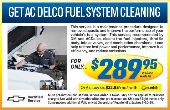 AC DELCO Fuel System Cleaning